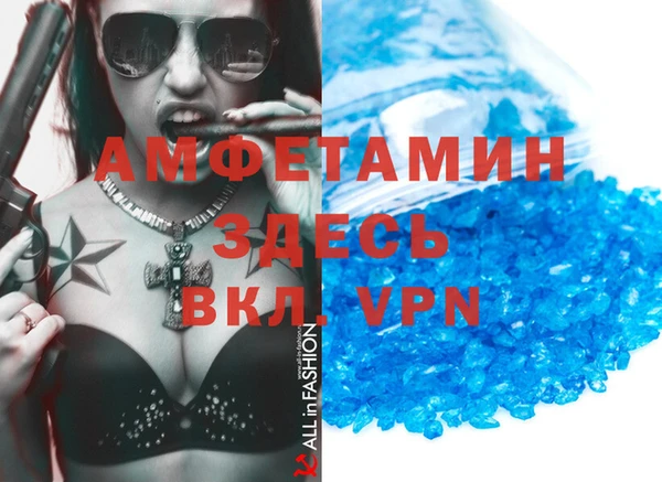 ГАЛЛЮЦИНОГЕННЫЕ ГРИБЫ Богданович