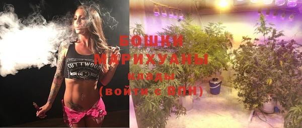 ГАЛЛЮЦИНОГЕННЫЕ ГРИБЫ Богданович